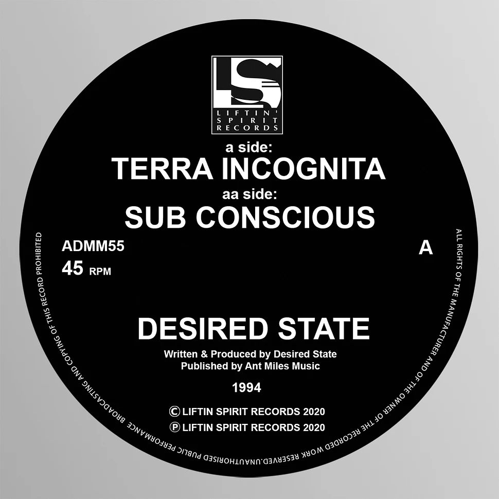 Desired State - Terra Incognita / Sub Conscious