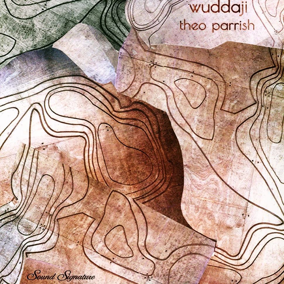 Theo Parrish - Wuddaji