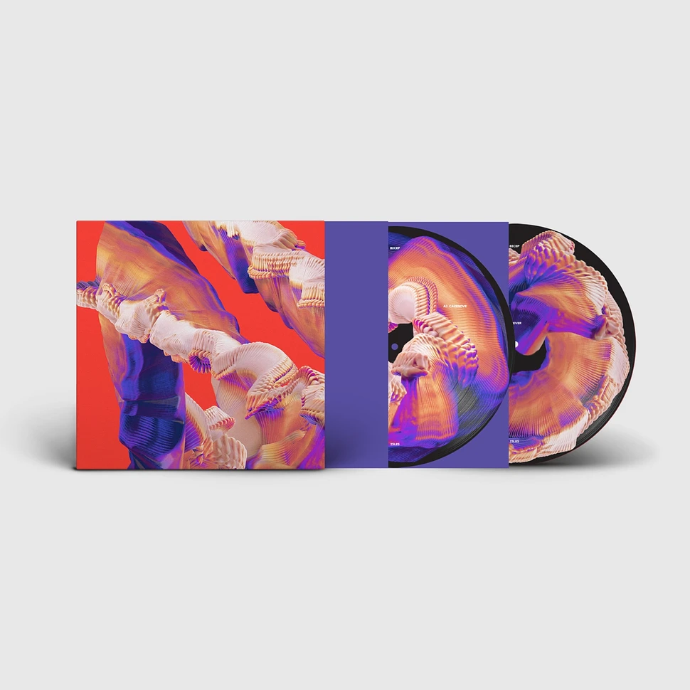 Bicep - Isles Picture Disc Edition