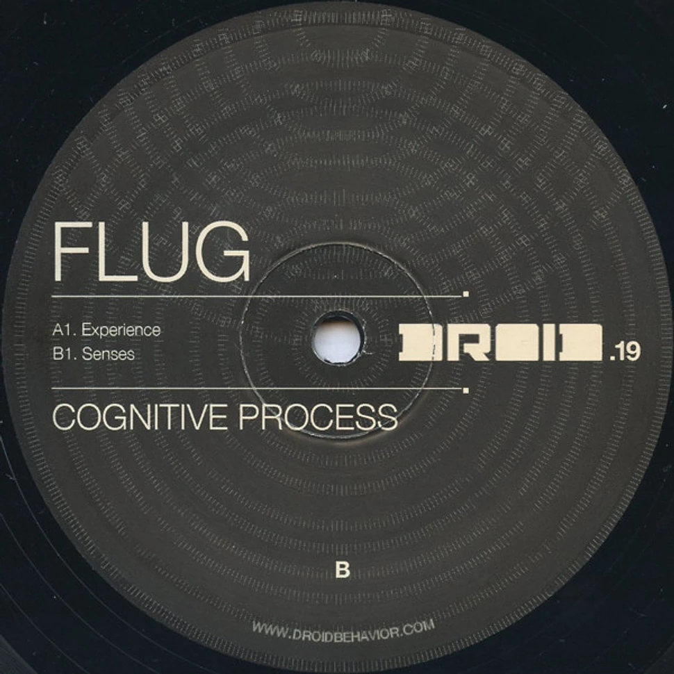 Flug - Cognitive Process