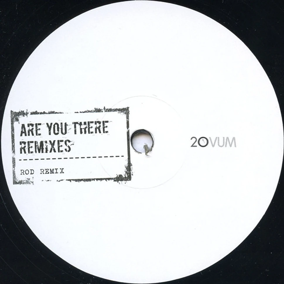Josh Wink - Are You There Remixes