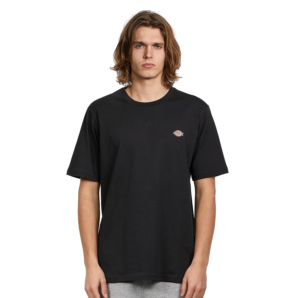 Dickies - SS Mapleton T-Shirt HHV (Desert | Sand)