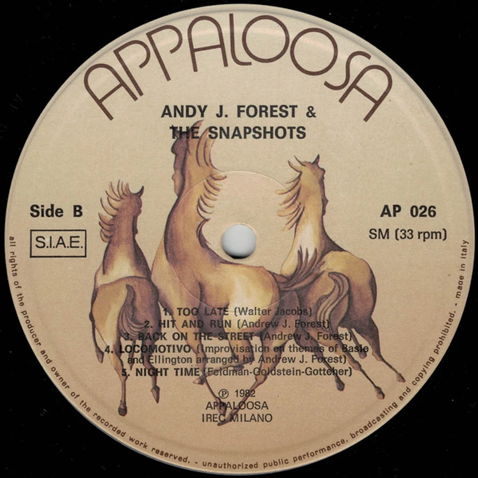 Andy J. Forest and The Snapshots - Andy J. Forest & The Snapshots