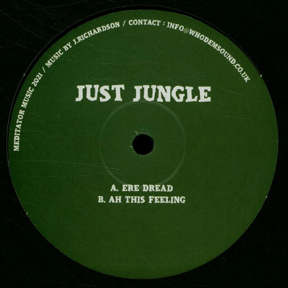 Just Jungle - Meditator028