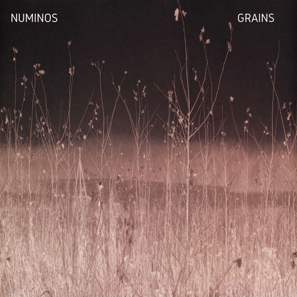 Numinos - Grains