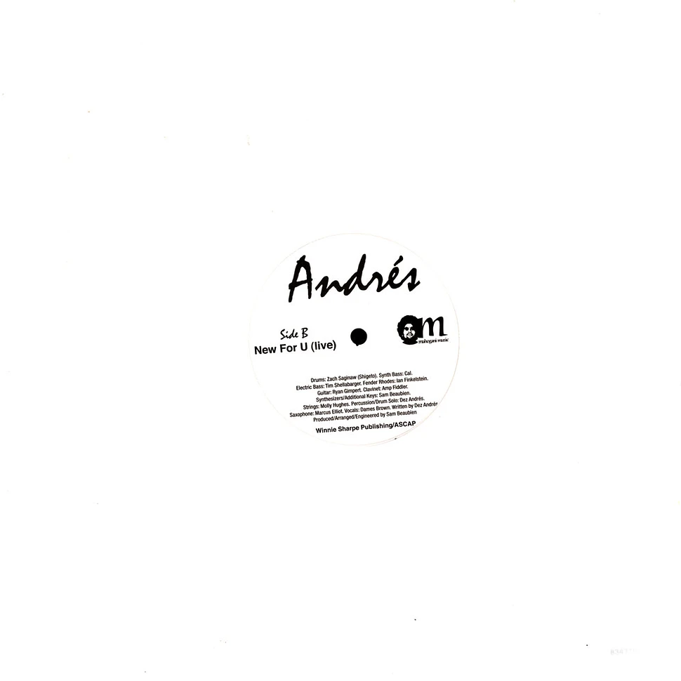 Andres (DJ Dez) - Praises / New For U