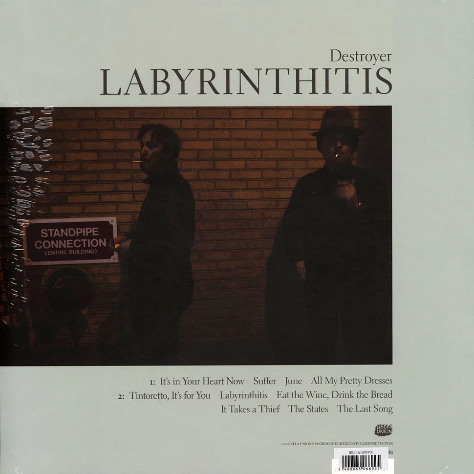 Destroyer - Labyrinthitis Colored Vinyl Edition