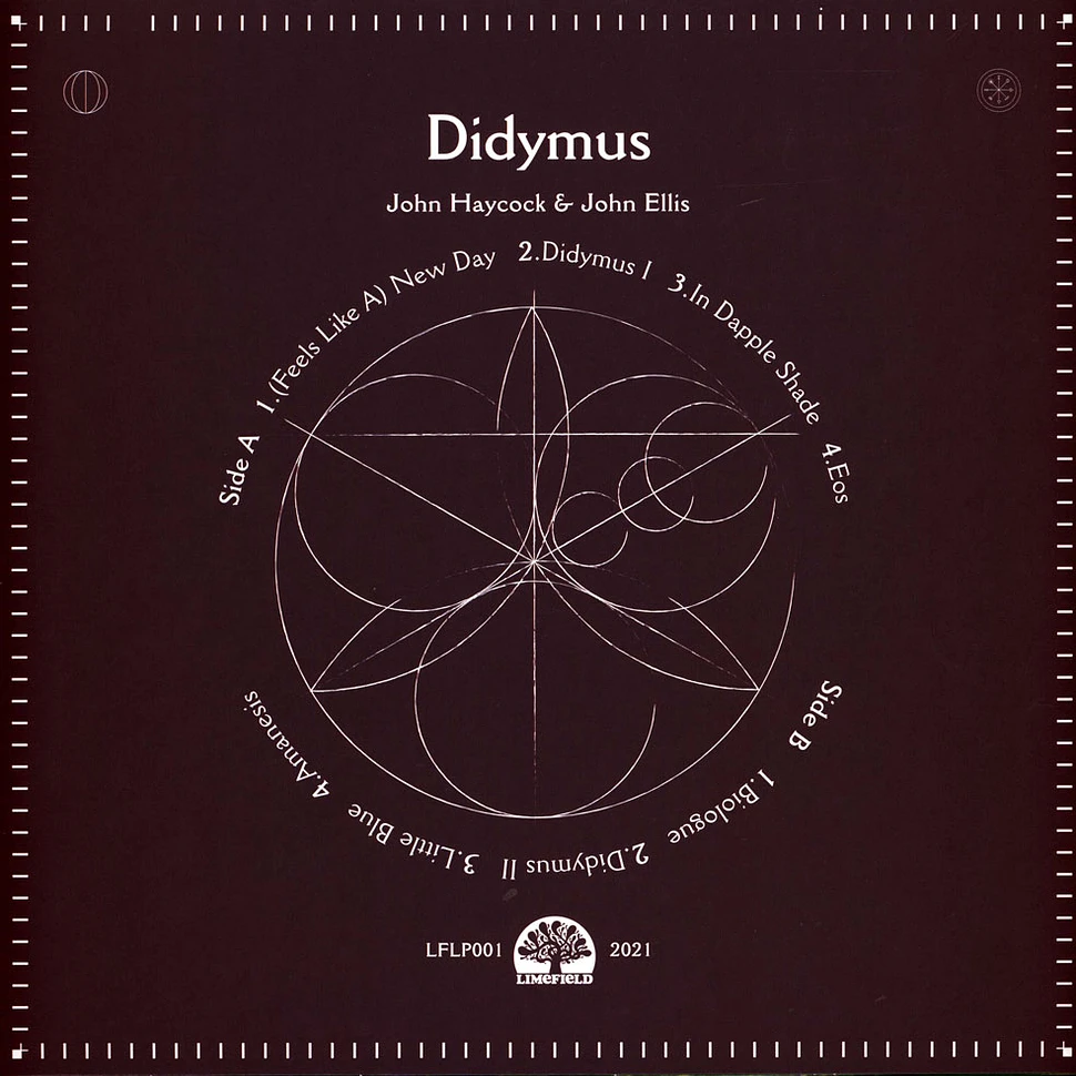 John Haycock & John Ellis - Didymus