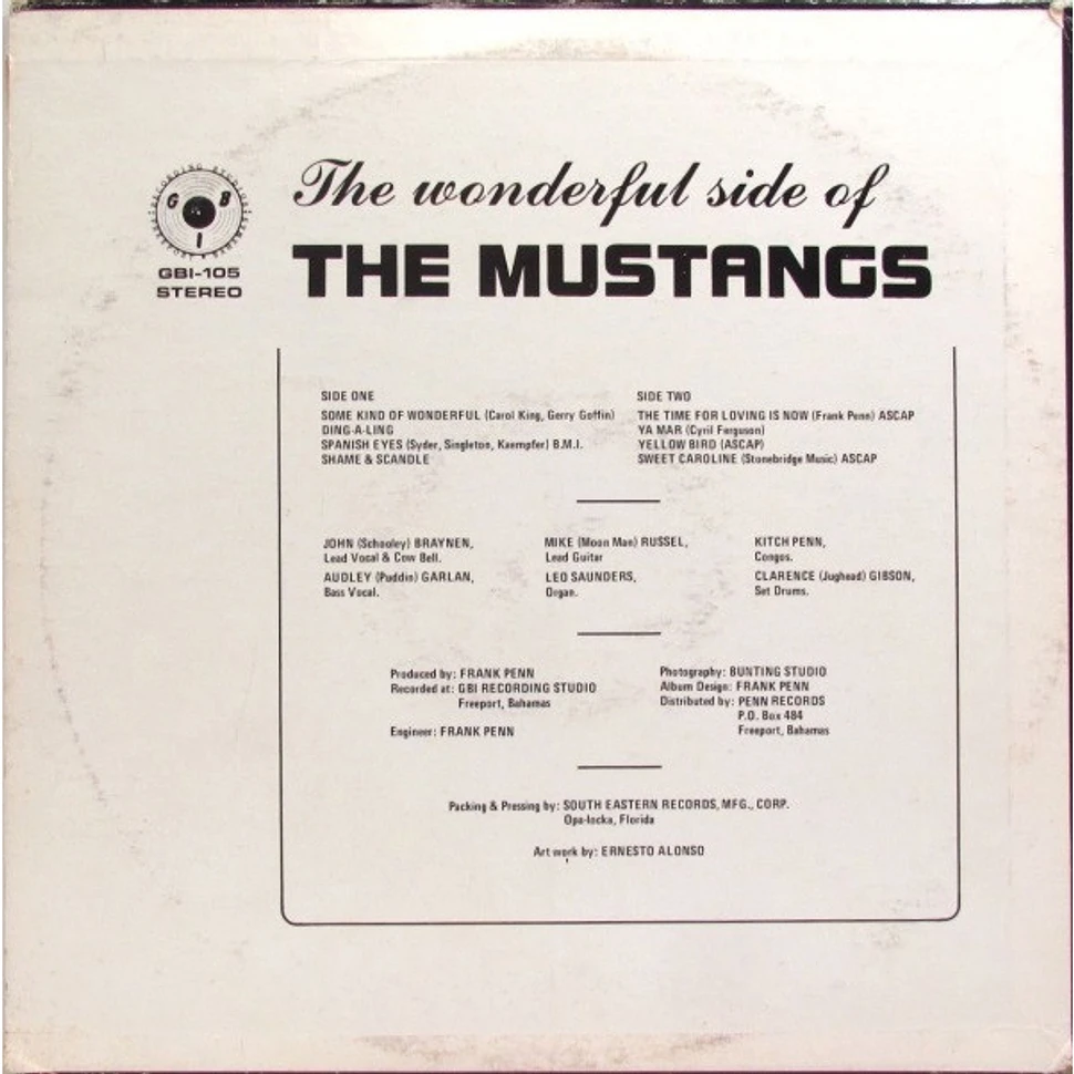 Mustangs - The Wonderful Side Of The Mustangs