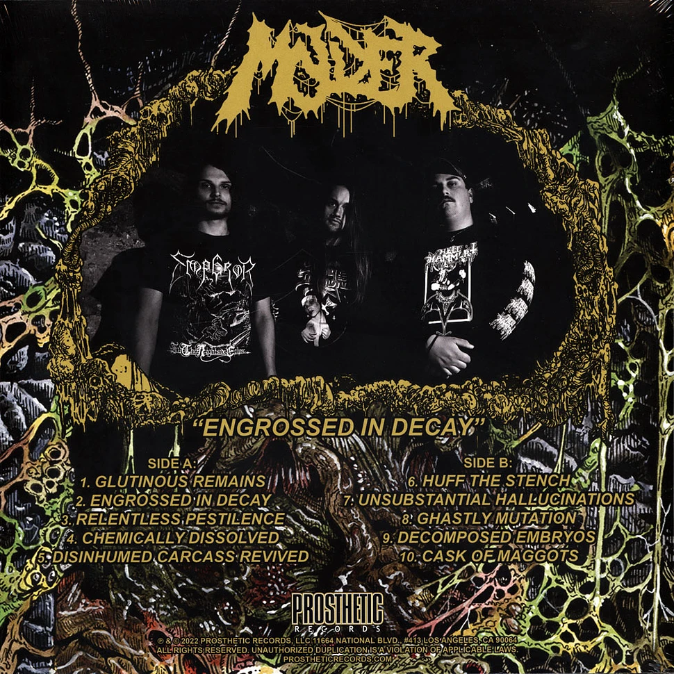 Molder - Engrossed In Decay