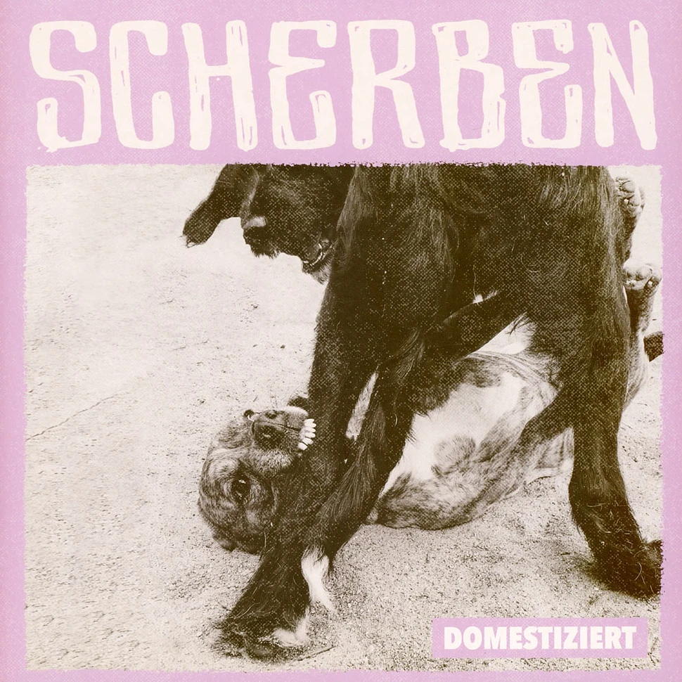 Scherben - Domestiziert