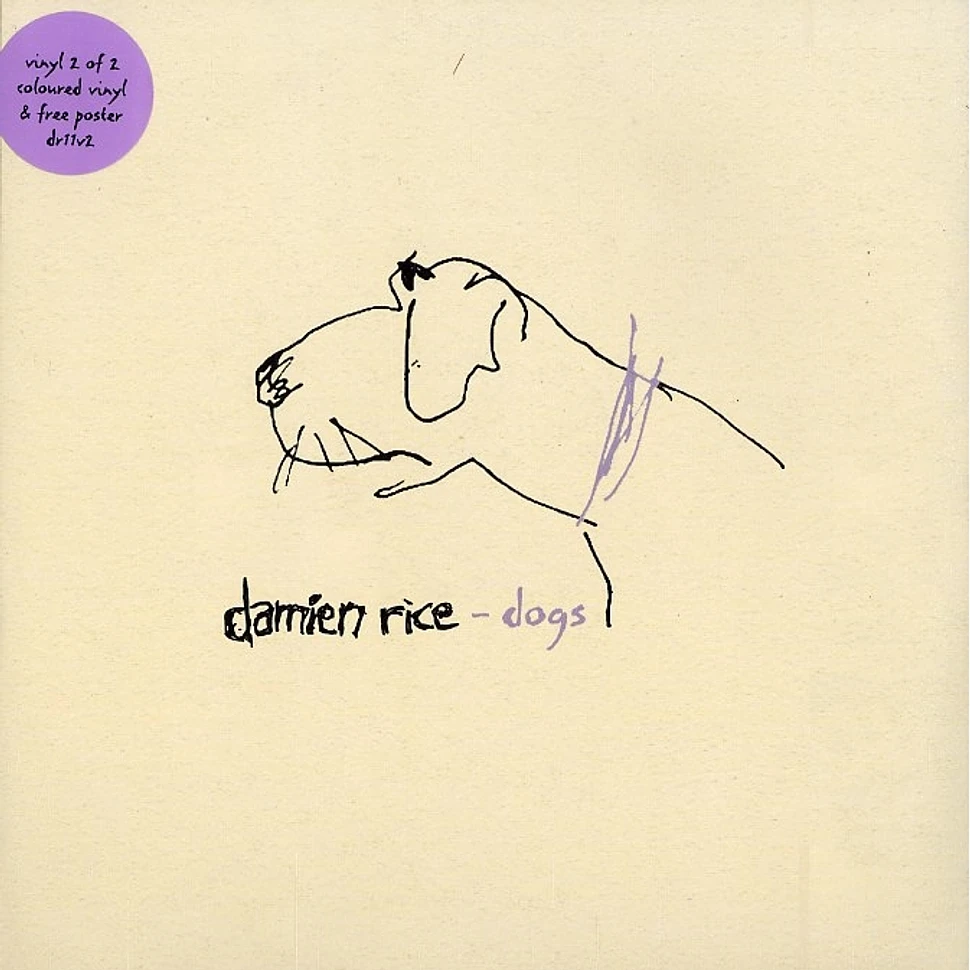 Damien Rice - Dogs part 2 of 2