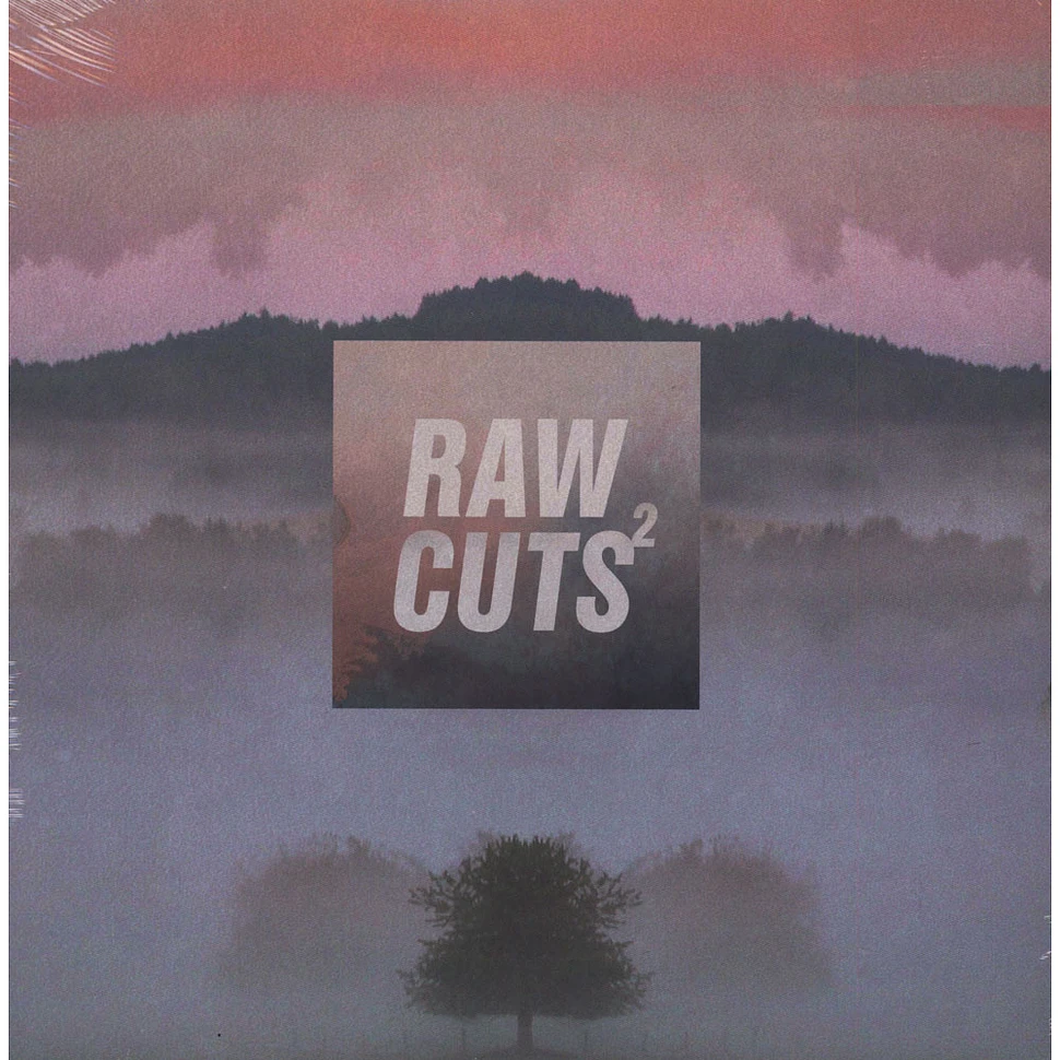 V.A. - Raw Cuts 2