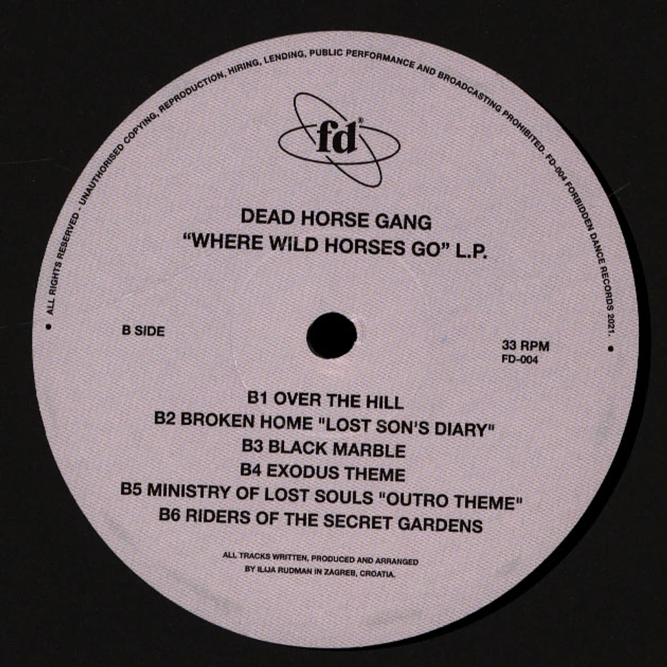 Dead Horse Gang - Where Wild Horses Go