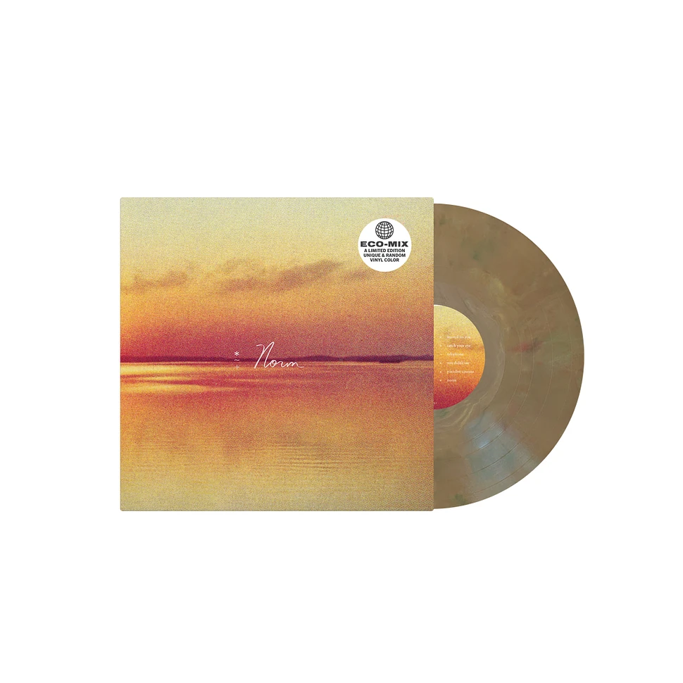 Andy Shauf - Norm Eco-Mis Colored Vinyl Edition