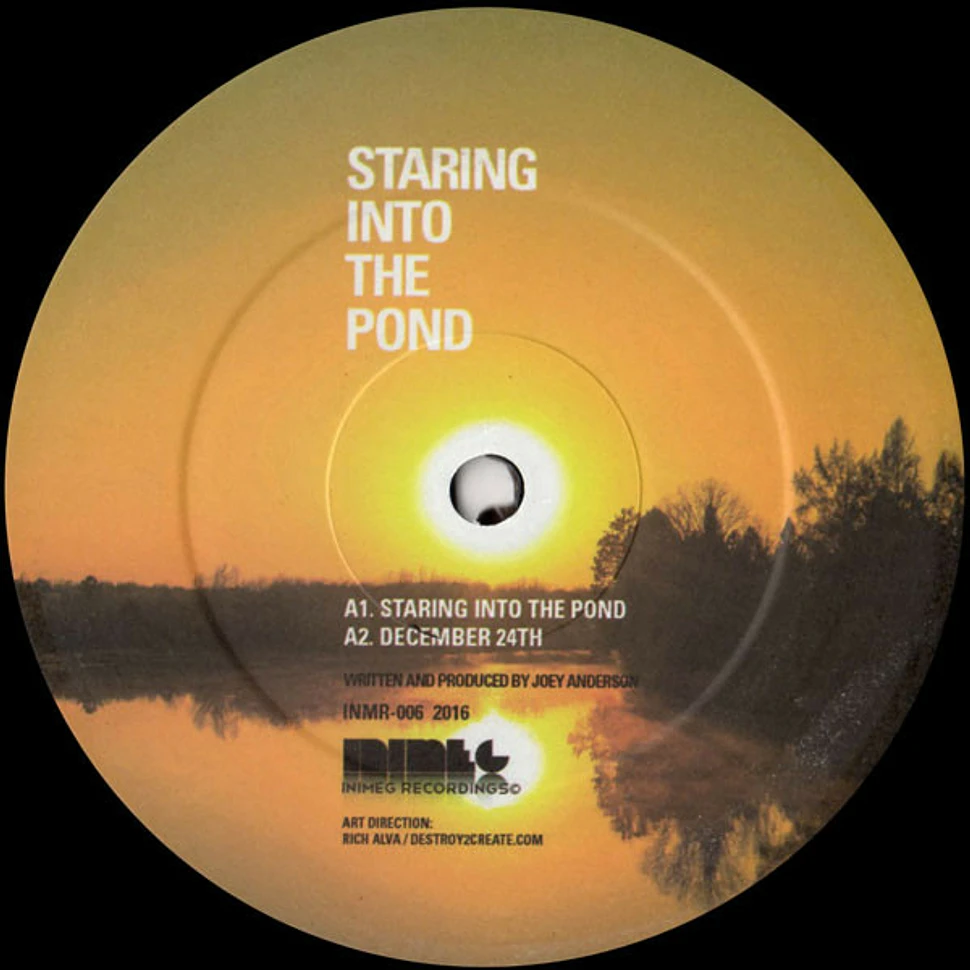 Joey Anderson - Staring Into The Pond