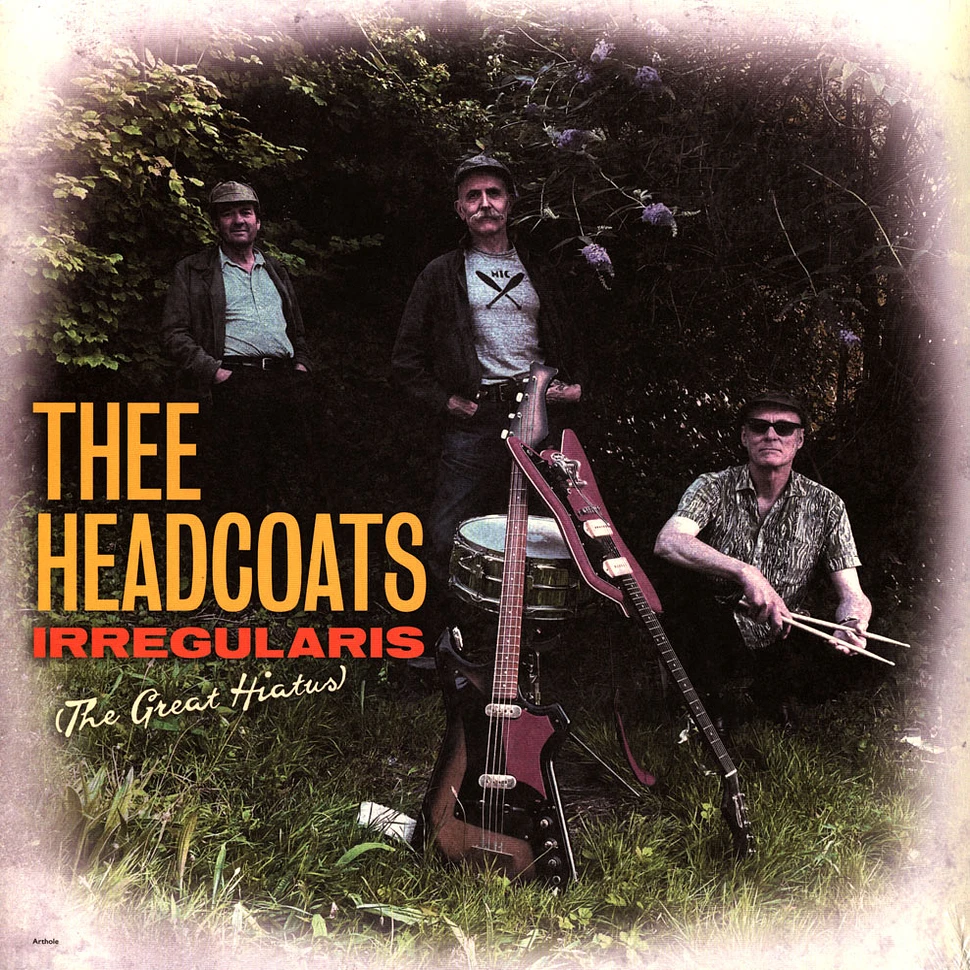 Thee Headcoats - Irregularis The Great Hiatus Edition - Vinyl LP