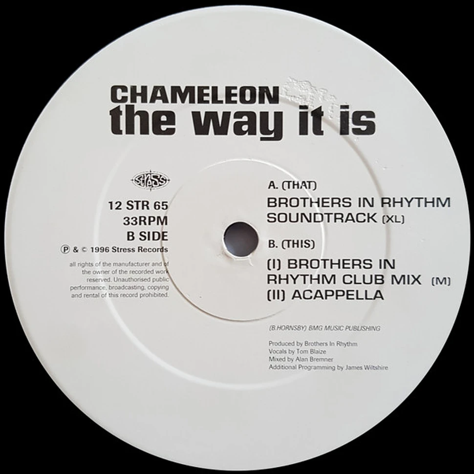 Chameleon - The Way It Is