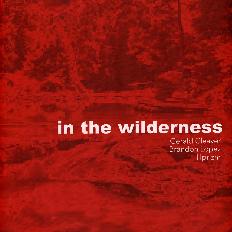 Gerald Cleaver + Brandon Lopez, Hprizm - In The Wilderness