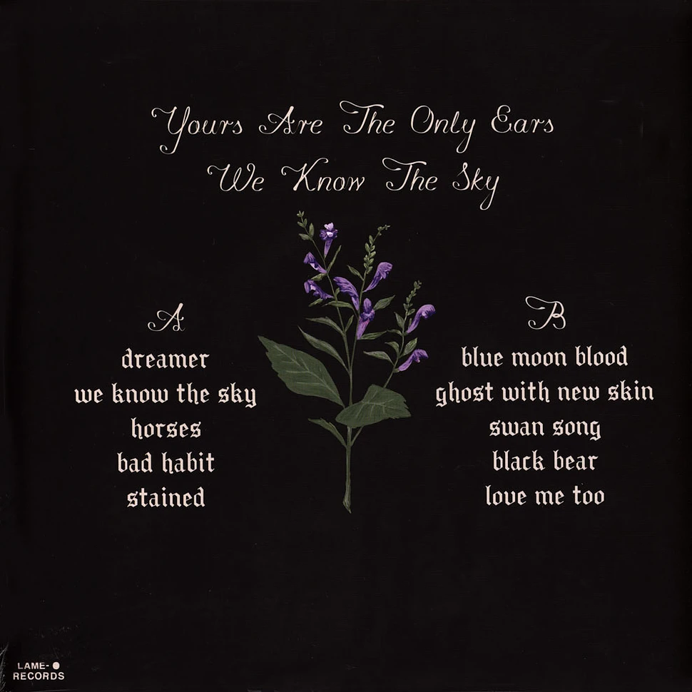 Yours Are The Only Ears - We Know The Sky Sky Vinyl Edition