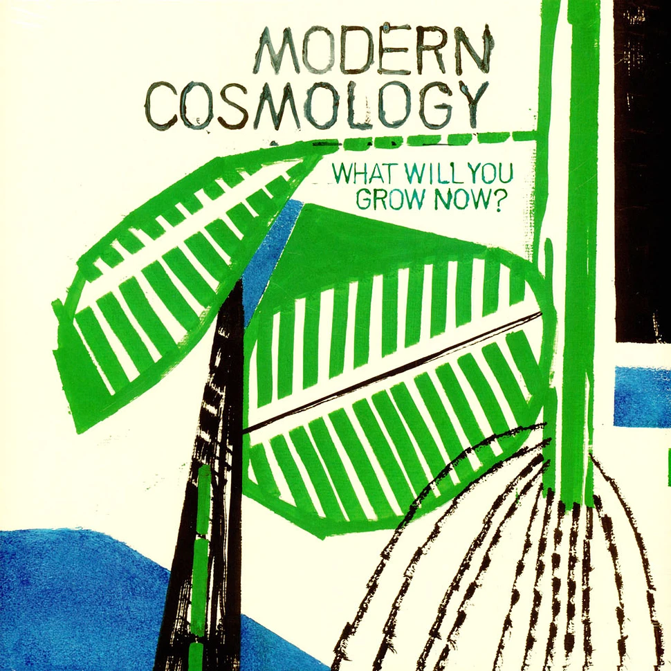 Modern Cosmology - What Will You Grow Now?