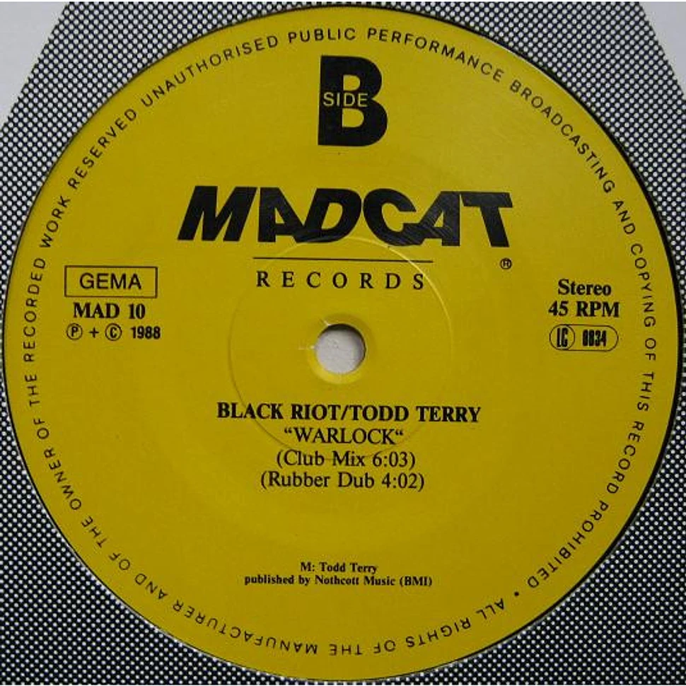 Black Riot / Todd Terry - A Day In The Life (The Europe-Mix)
