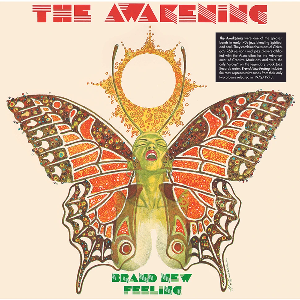 The Awakening - Brand New Feeling Black Vinyl Edition
