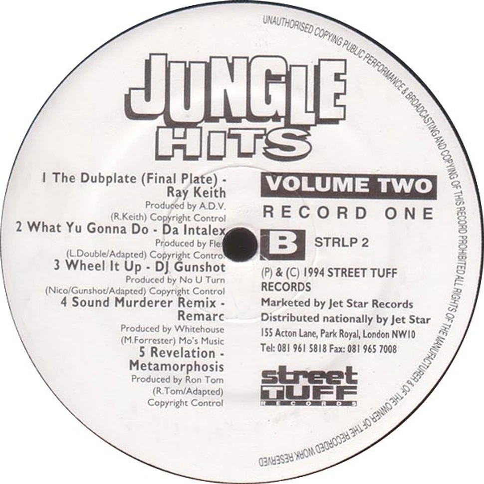 V.A. - Jungle Hits Volume 2