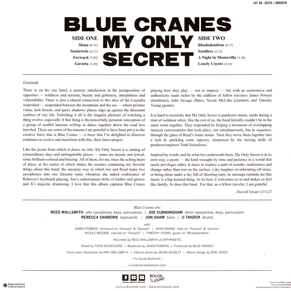 Blue Cranes - My Only Secret Dark Purple Vinyl Edition
