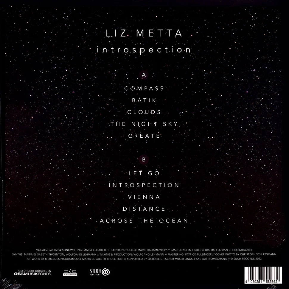 Liz Metta - Introspection