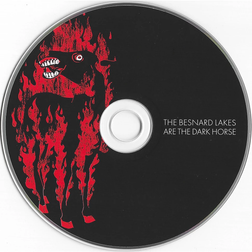 The Besnard Lakes - The Besnard Lakes Are The Dark Horse