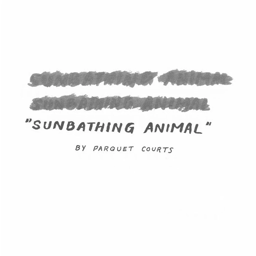 Parquet Courts Sunbathing Animal Vinyl 7 2014 UK Original HHV