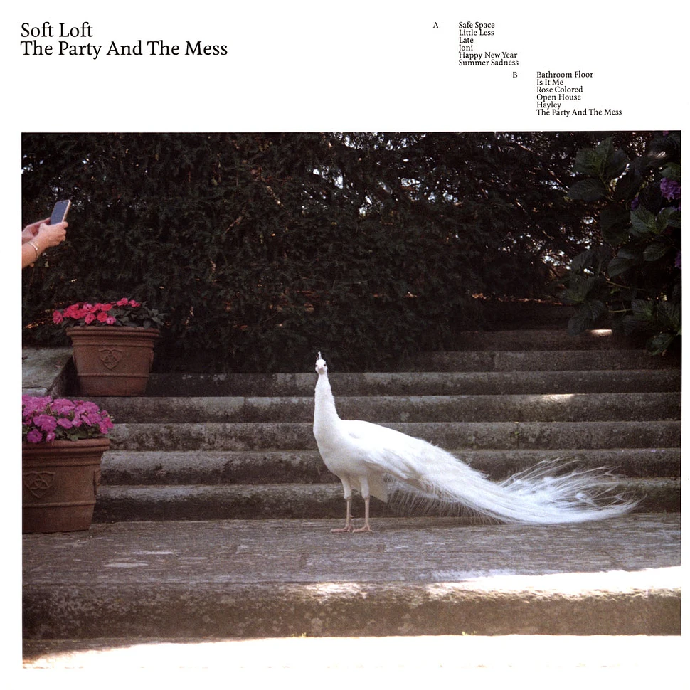 Soft Loft - The Party And The Mess