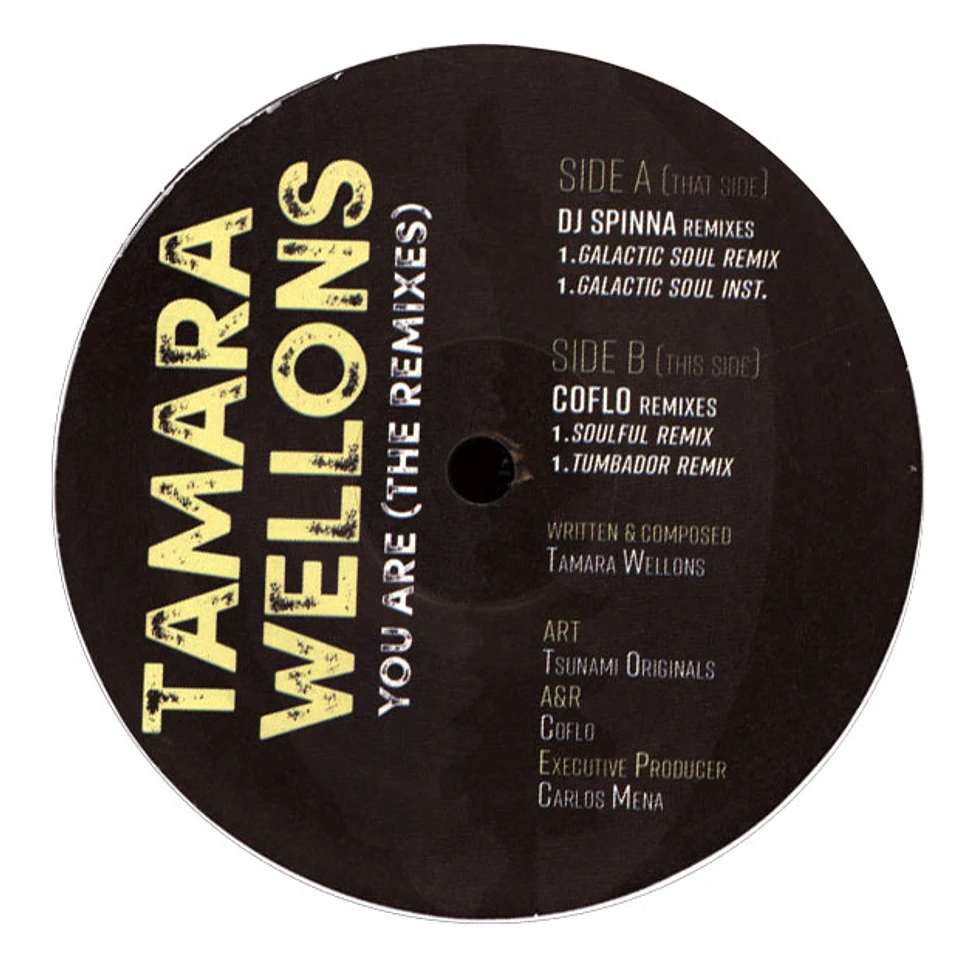 Tamara Wellons - You Are The Remixes
