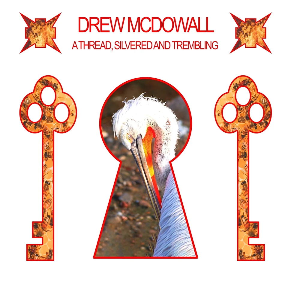 Drew McDowall - A Thread, Silvered And Trembling Black Vinyl Edition