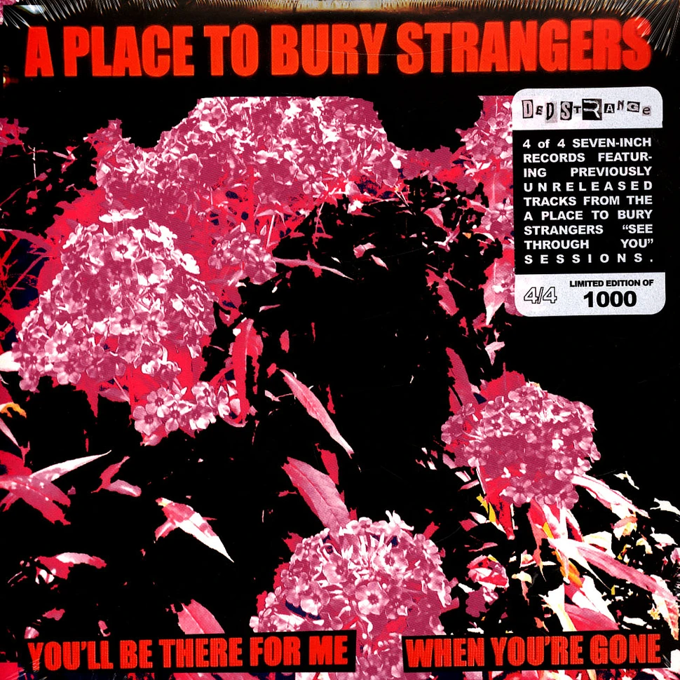 A Place To Bury Strangers - You'll Be There For Me When You're Gone