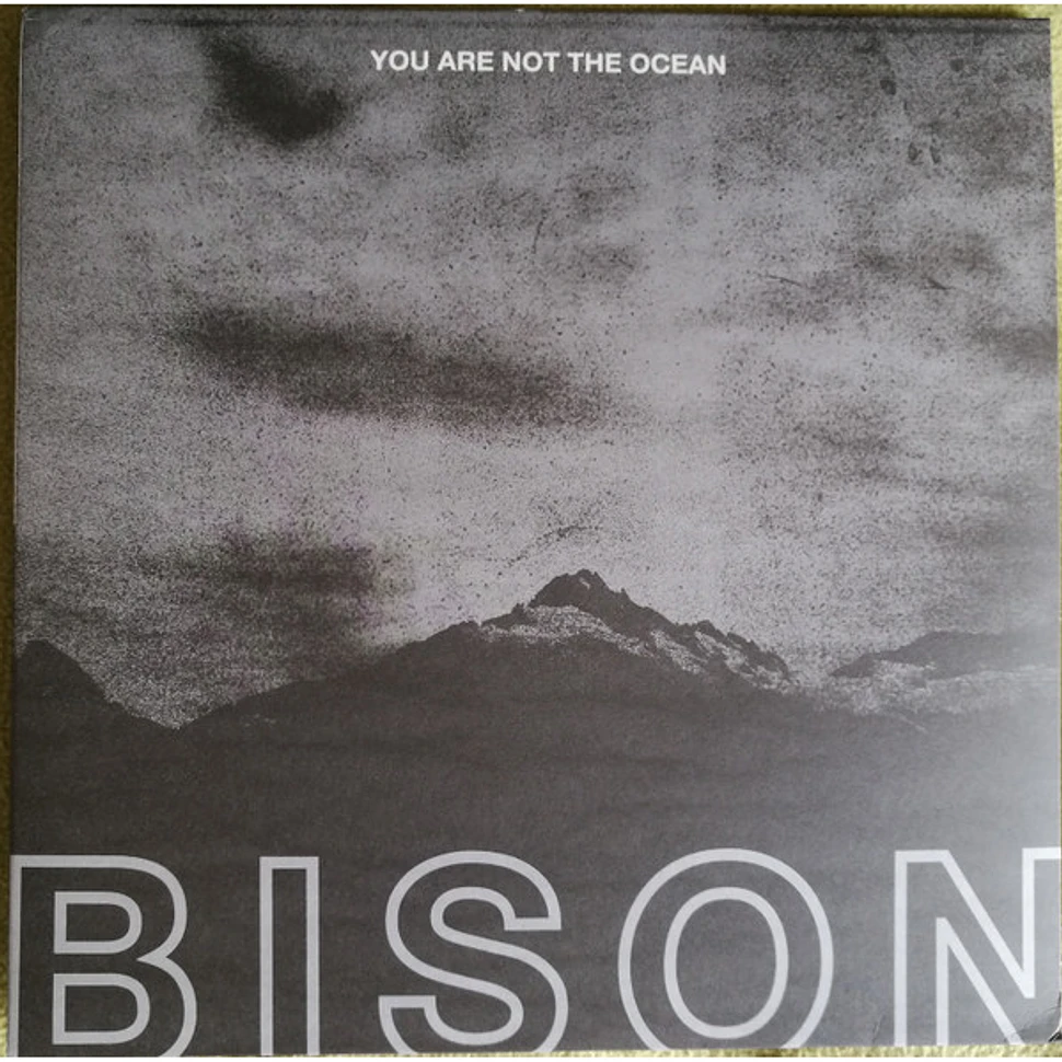 Bison B.C. - You Are Not The Ocean You Are The Patient