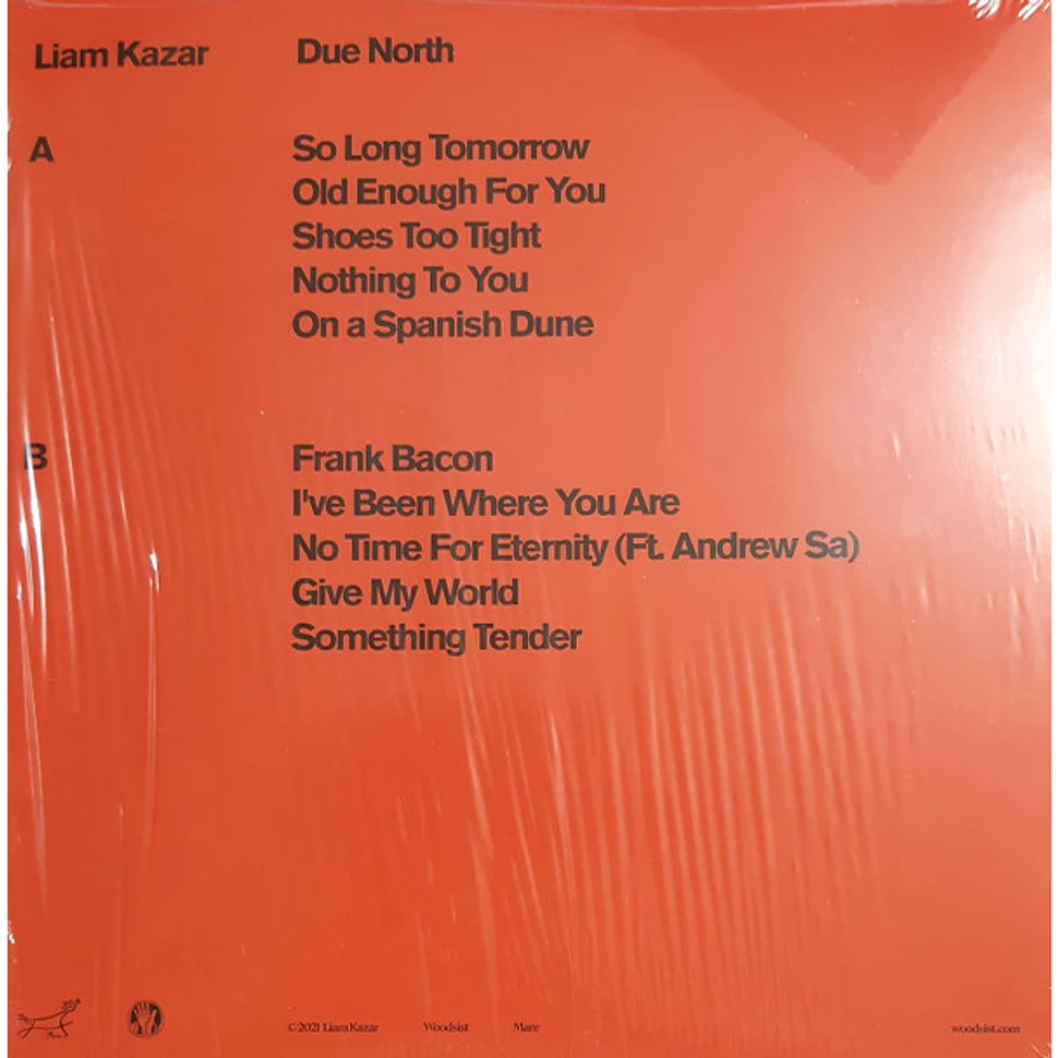 Liam Kazar - Due North