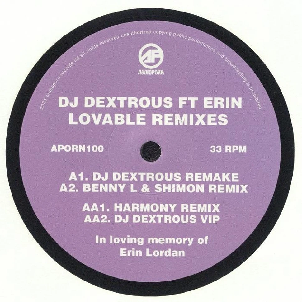 DJ Dextrous Feat. Erin - Lovable Remixes EP