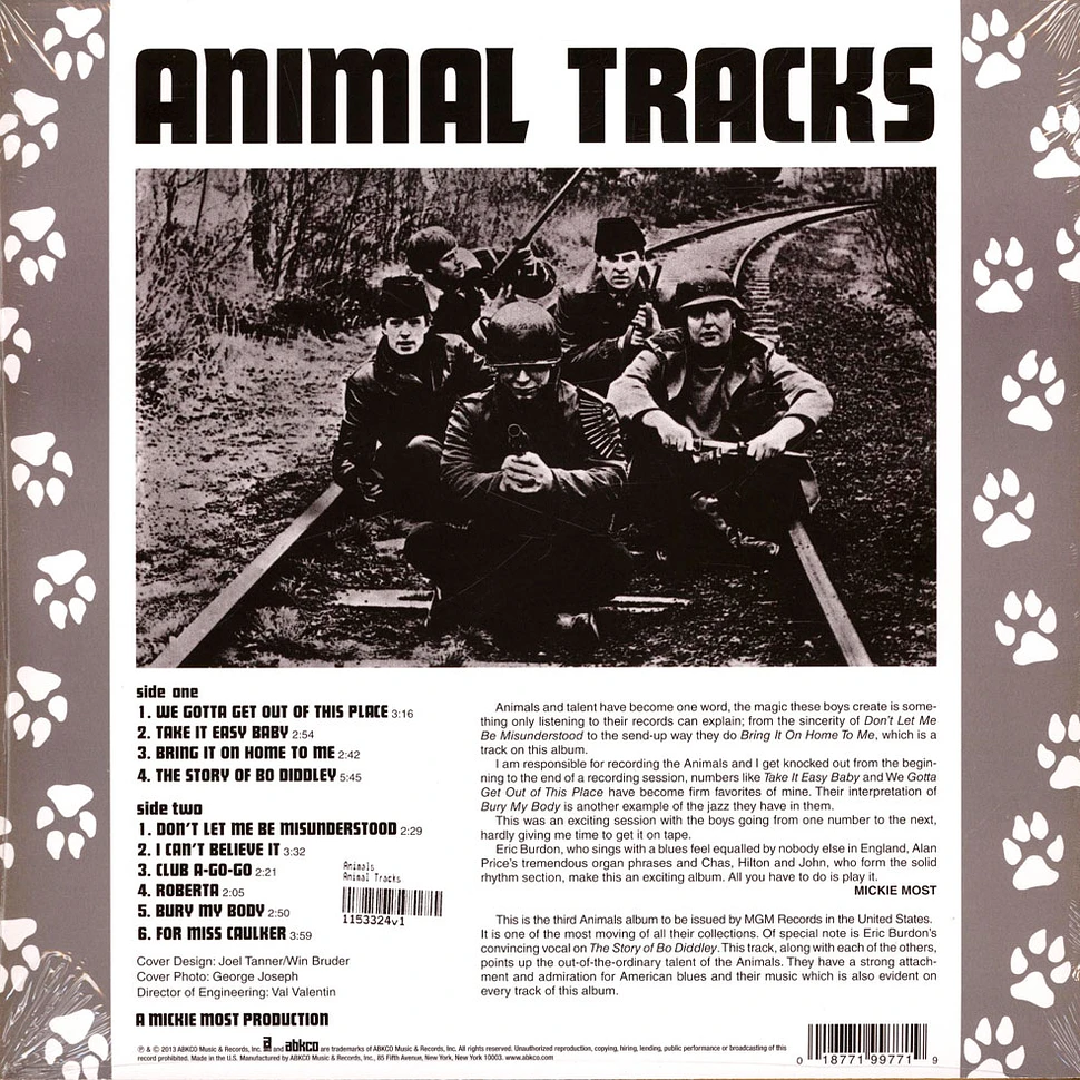 Animals - Animal Tracks