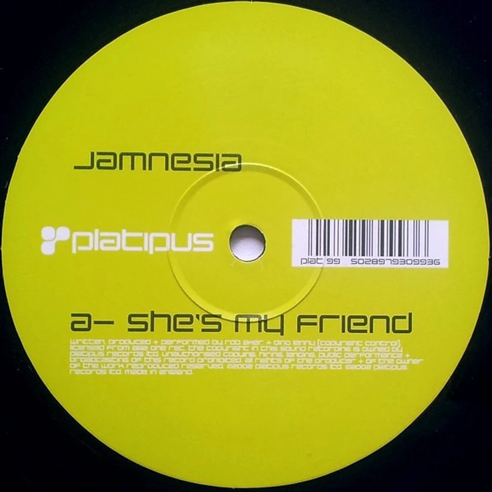 Jamnesia - She's My Friend / Get Busy