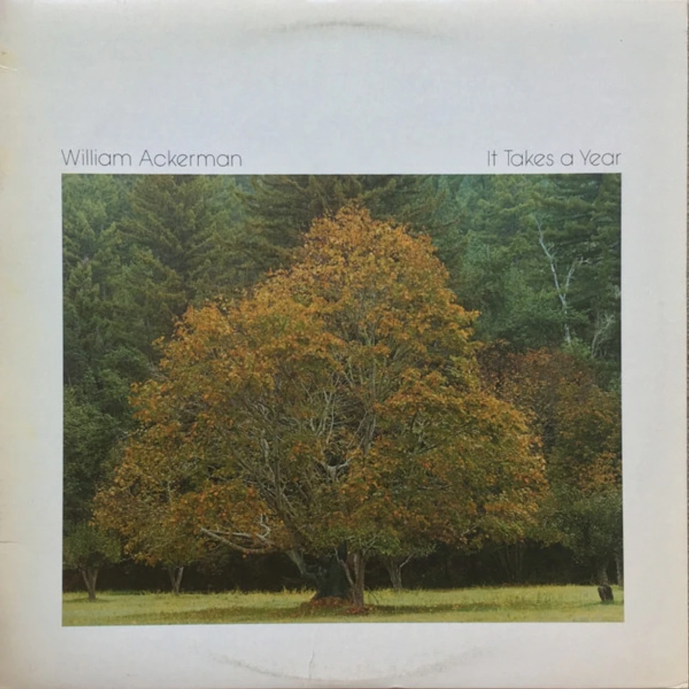 William Ackerman - It Takes A Year