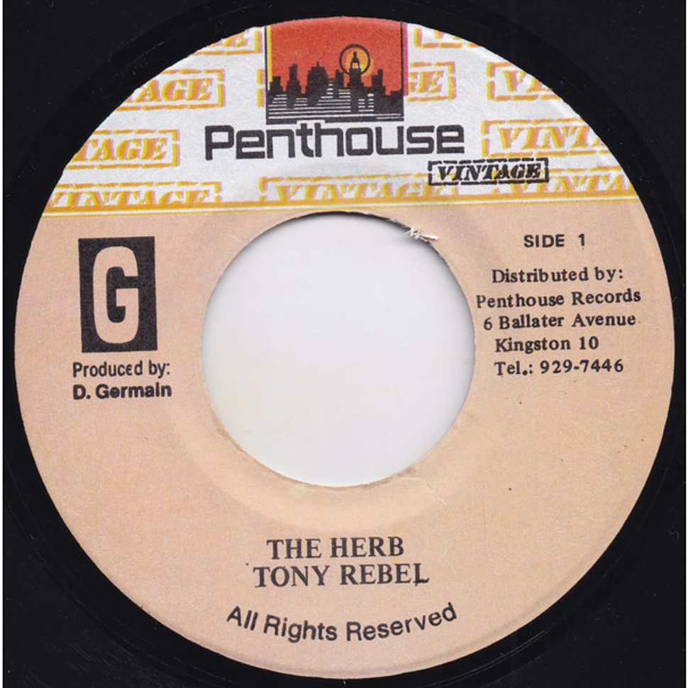 Tony Rebel - The Herb