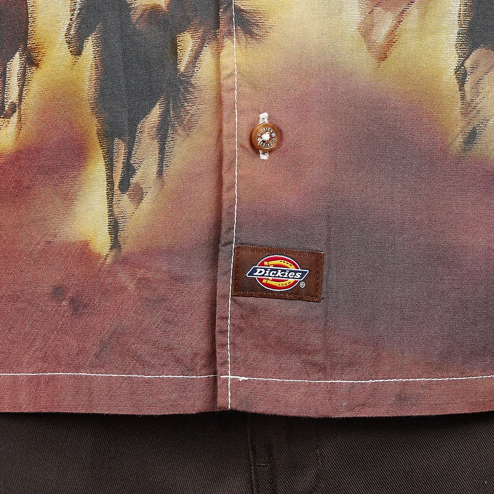 Dickies - Running Wild Shirt SS