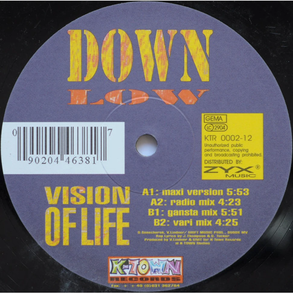 Down Low - Vision Of Life