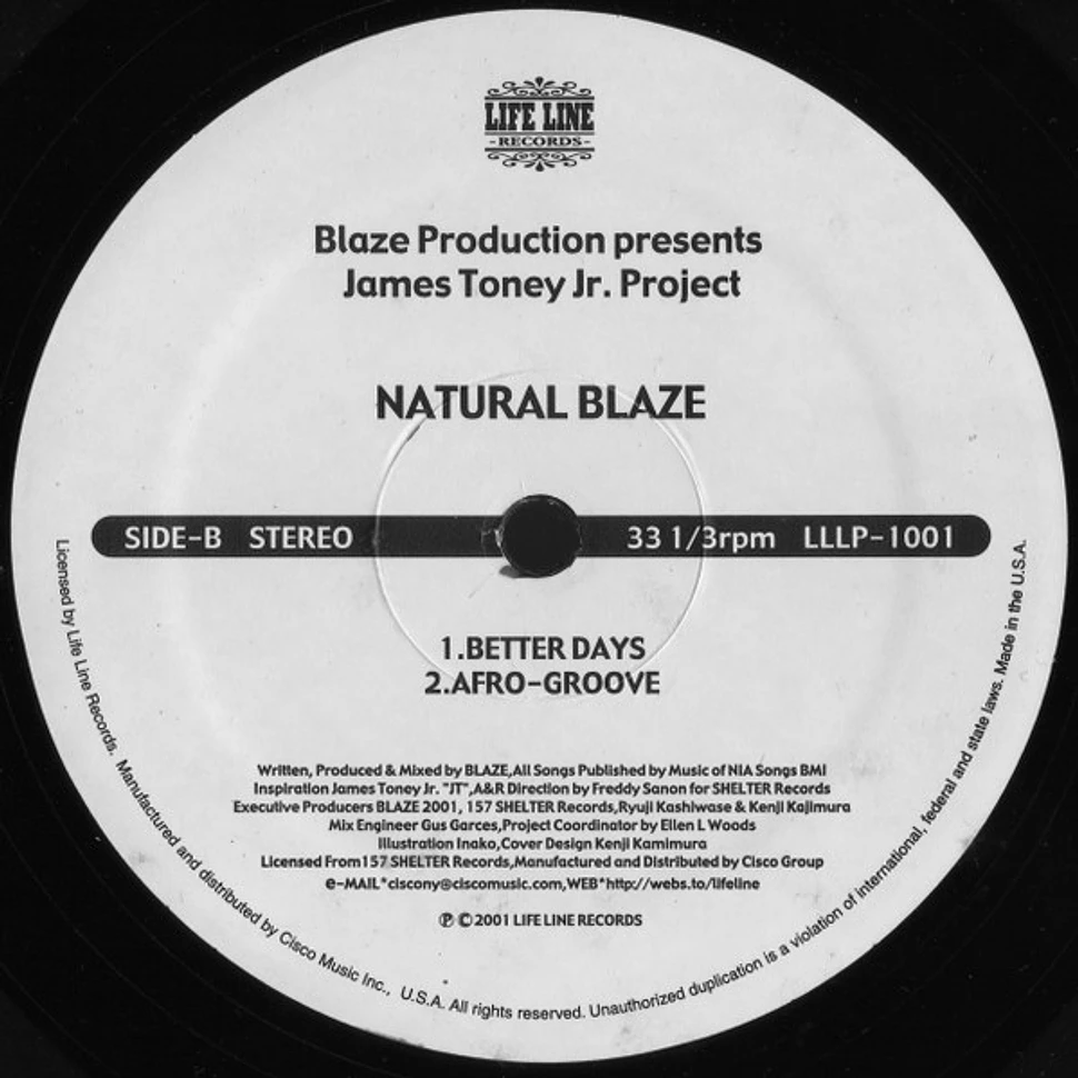 Blaze Presents James Toney Jr. Project - Natural Blaze