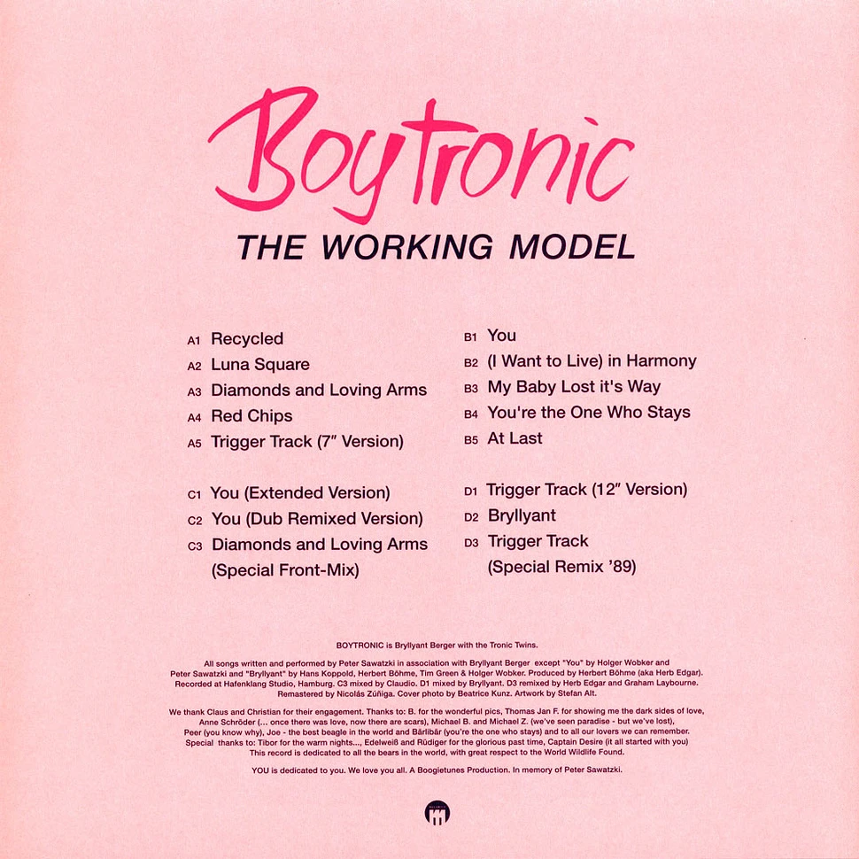 Boytronic - The Working Model