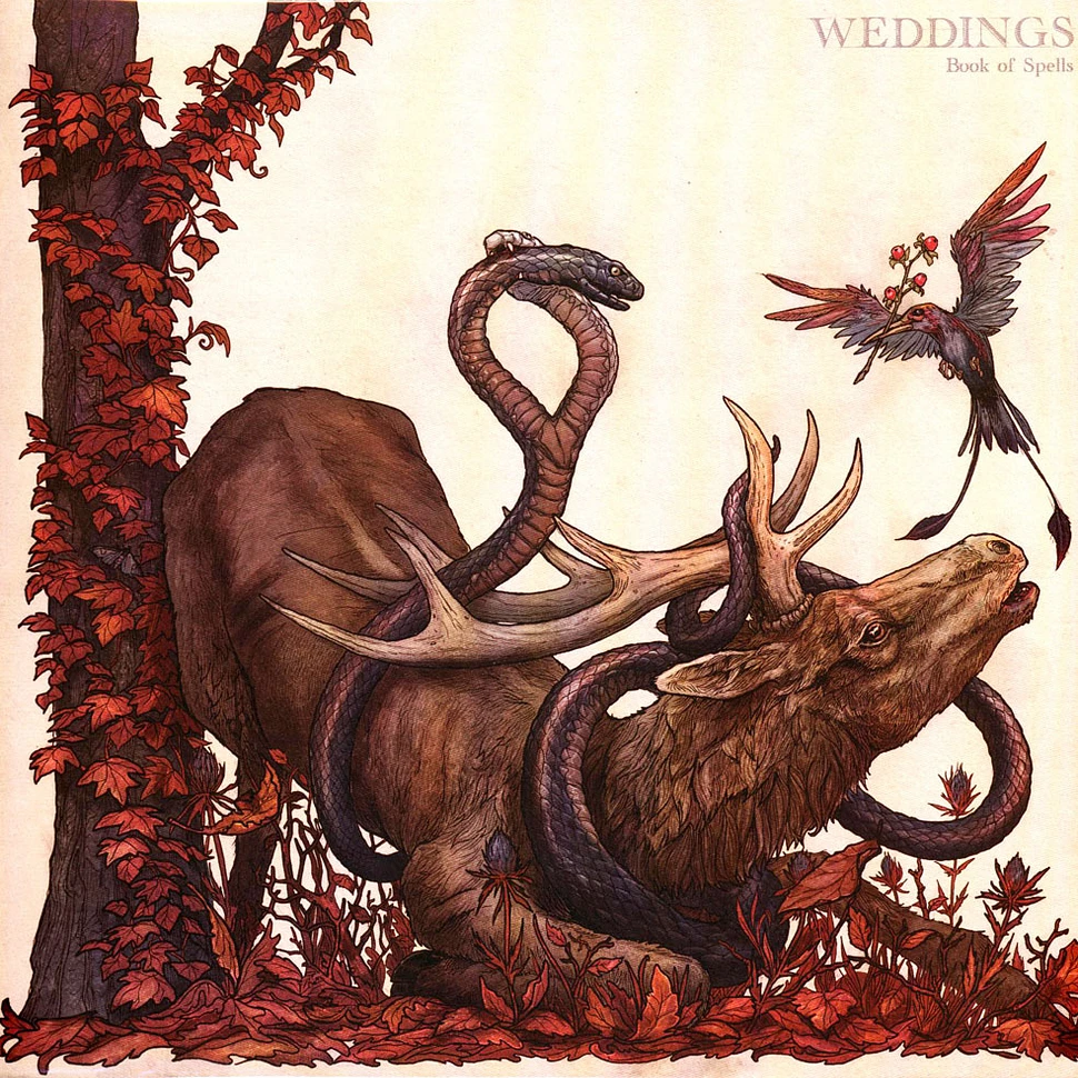 Weddings - Book Of Spells