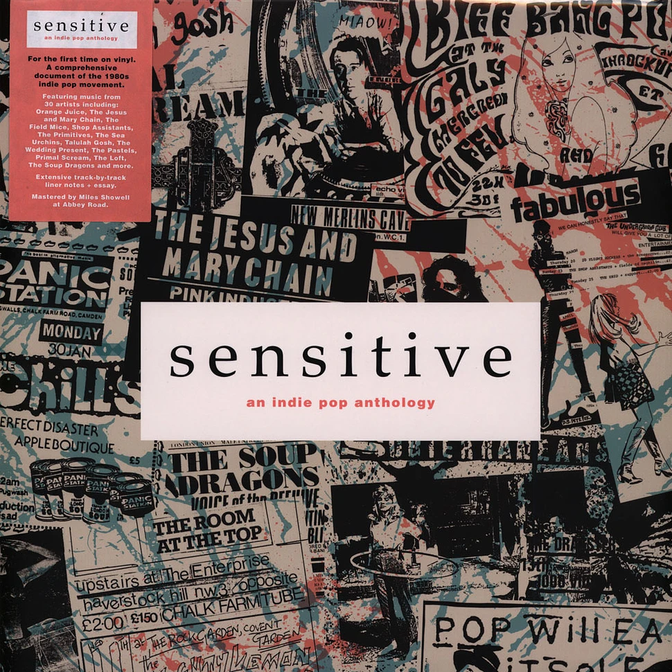 V.A. - Sensitive: An Indie Pop Anthology