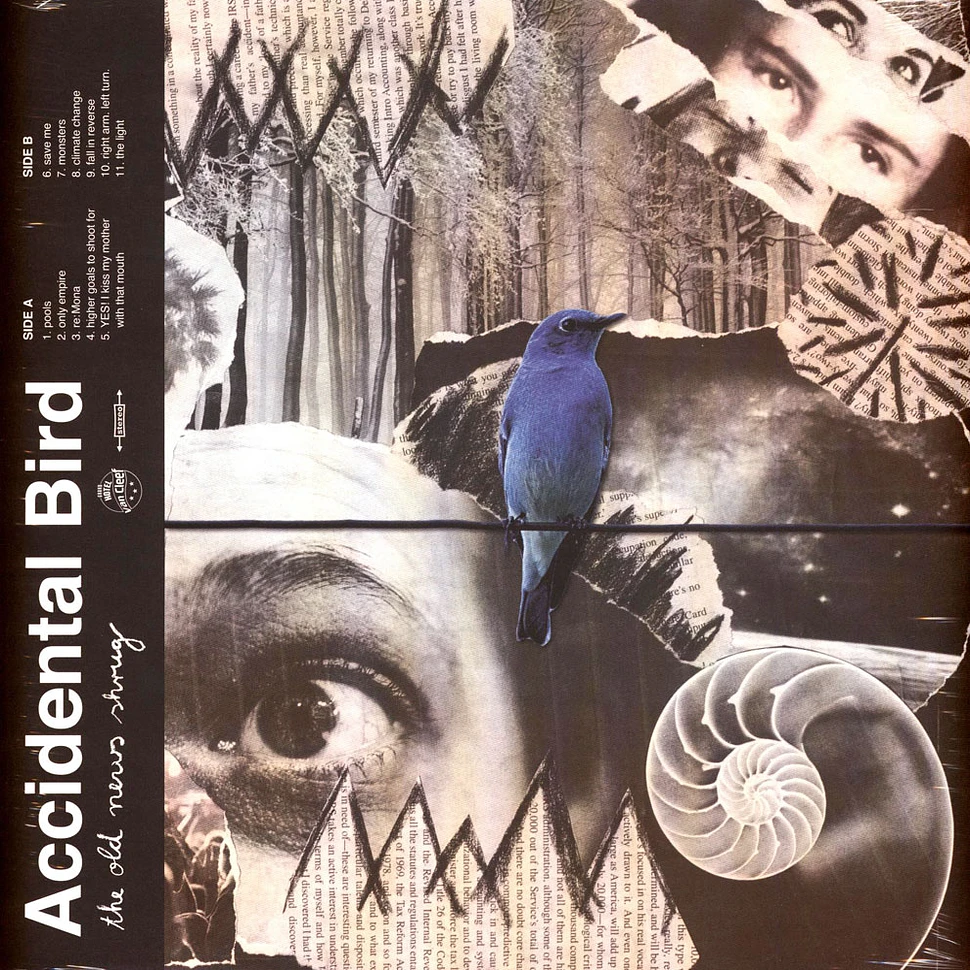 Accidental Bird - The Old News Shrug Blue Transparent Vinyl Edition